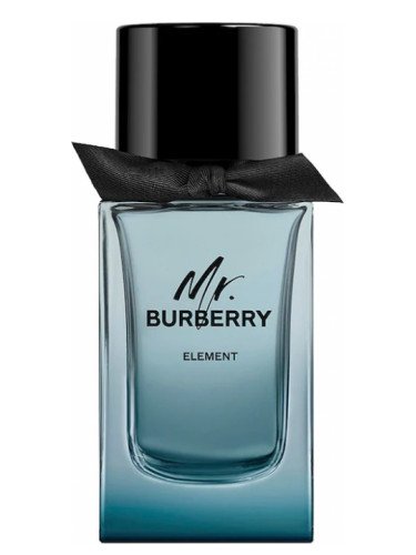 MR BURBERRY ELEMENT